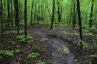 Gestion responsable des sentiers du parc de la Gatineau