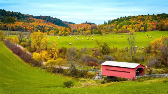 La vallée du ruisseau Meech