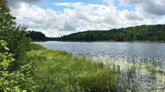 Lusk Lake on a cloudy summer day