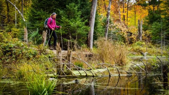 Hiker in Gatineau Park.