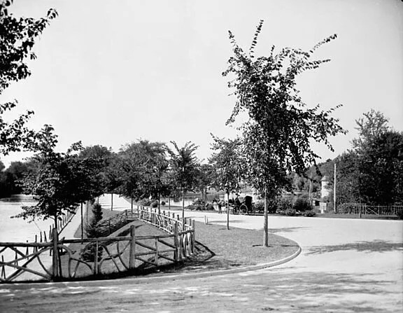 Horse and carriage on the Driveway, 1910. Credit: Canada. Dept. of Mines and Technical Surveys / Library and Archives Canada / PA-023224