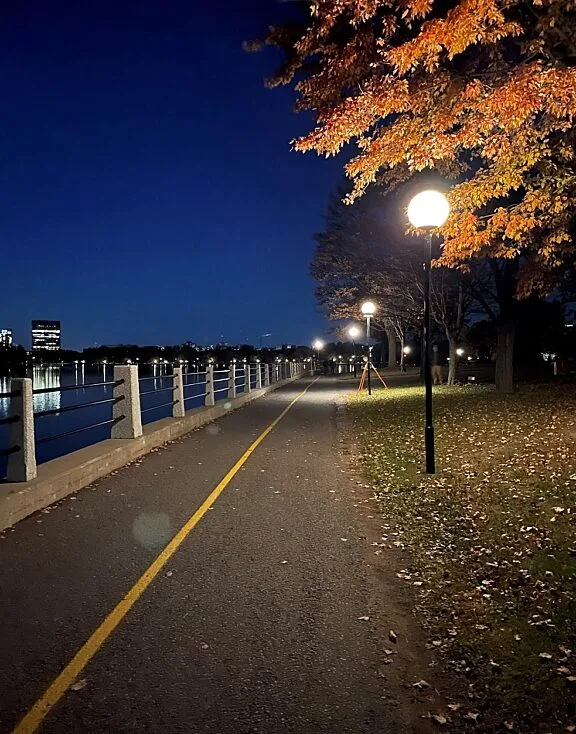 Lighting along the Rideau Canal