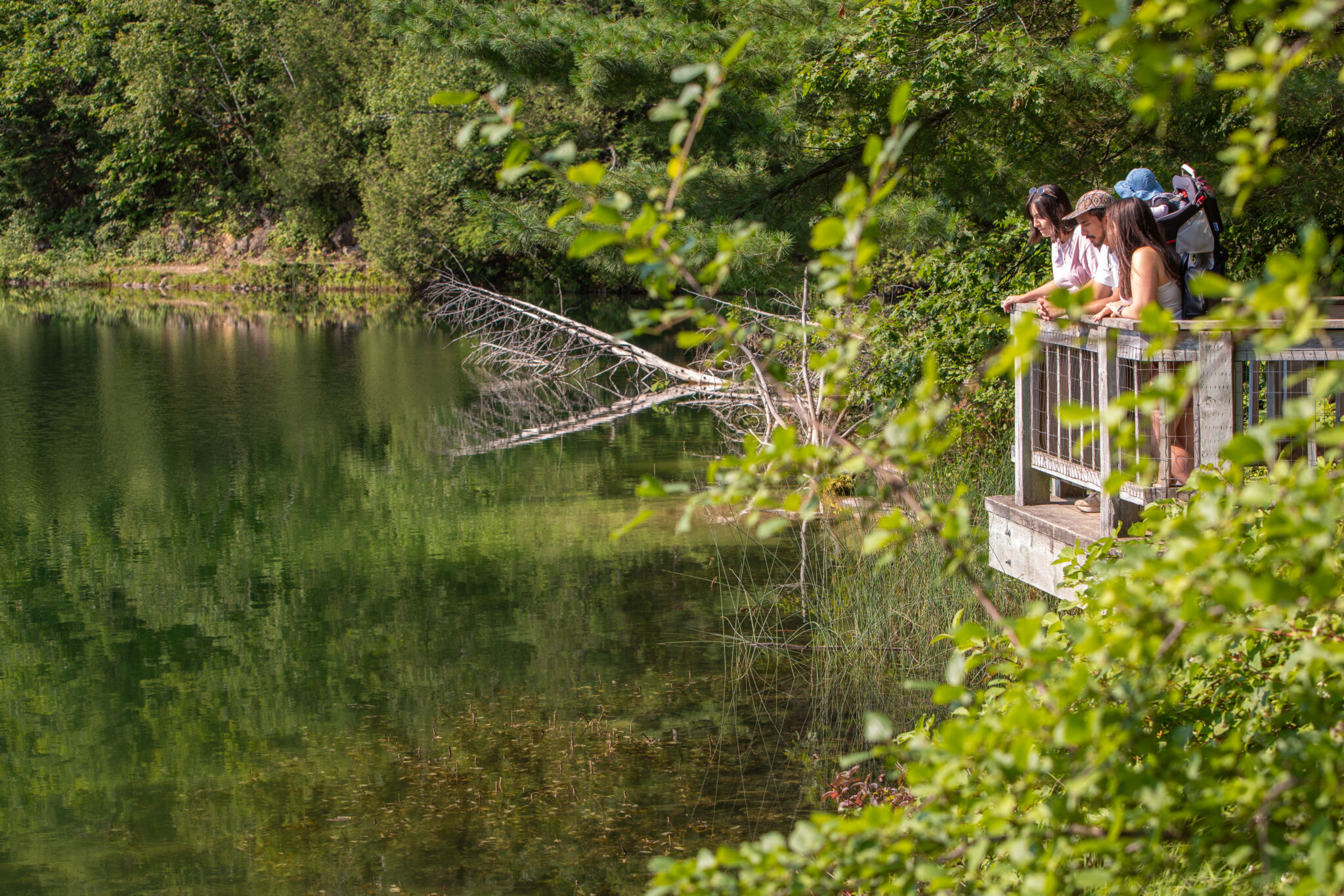 Visiteurs à un belvédère du lac Pink