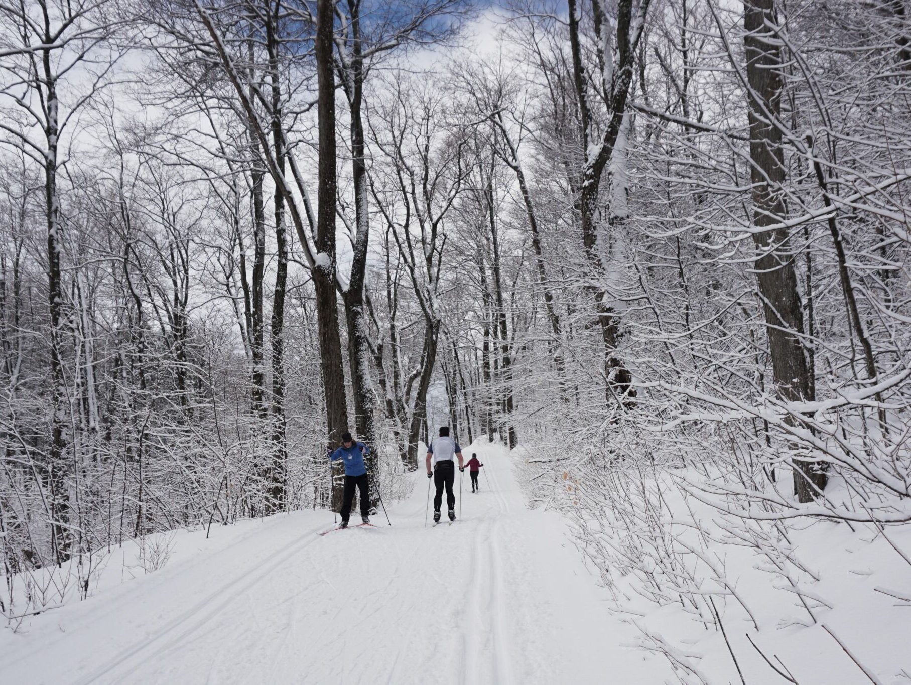 People cross-country skiing in Gatineau Park