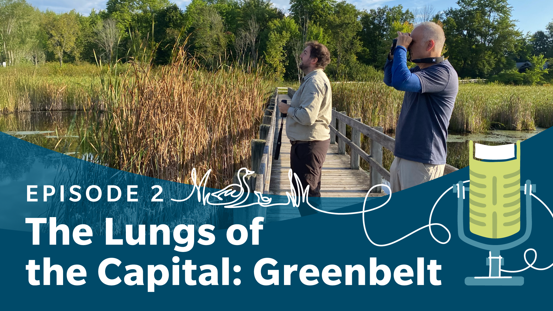The NCC is the proud steward of the Greenbelt, a 20,000-hectare horseshoe-shaped green space south of Ottawa’s urban core.      The Greenbelt was created in the 1950s to protect the rural land bordering the Capital from urban sprawl. Today, it protects natural areas like forests, wetlands, streams and sand dunes. It also sustains biodiversity and brings many benefits to the community.      In this episode, Tobi and his guest meet at Mer Bleue to talk about the challenges and the importance of the Greenbelt.