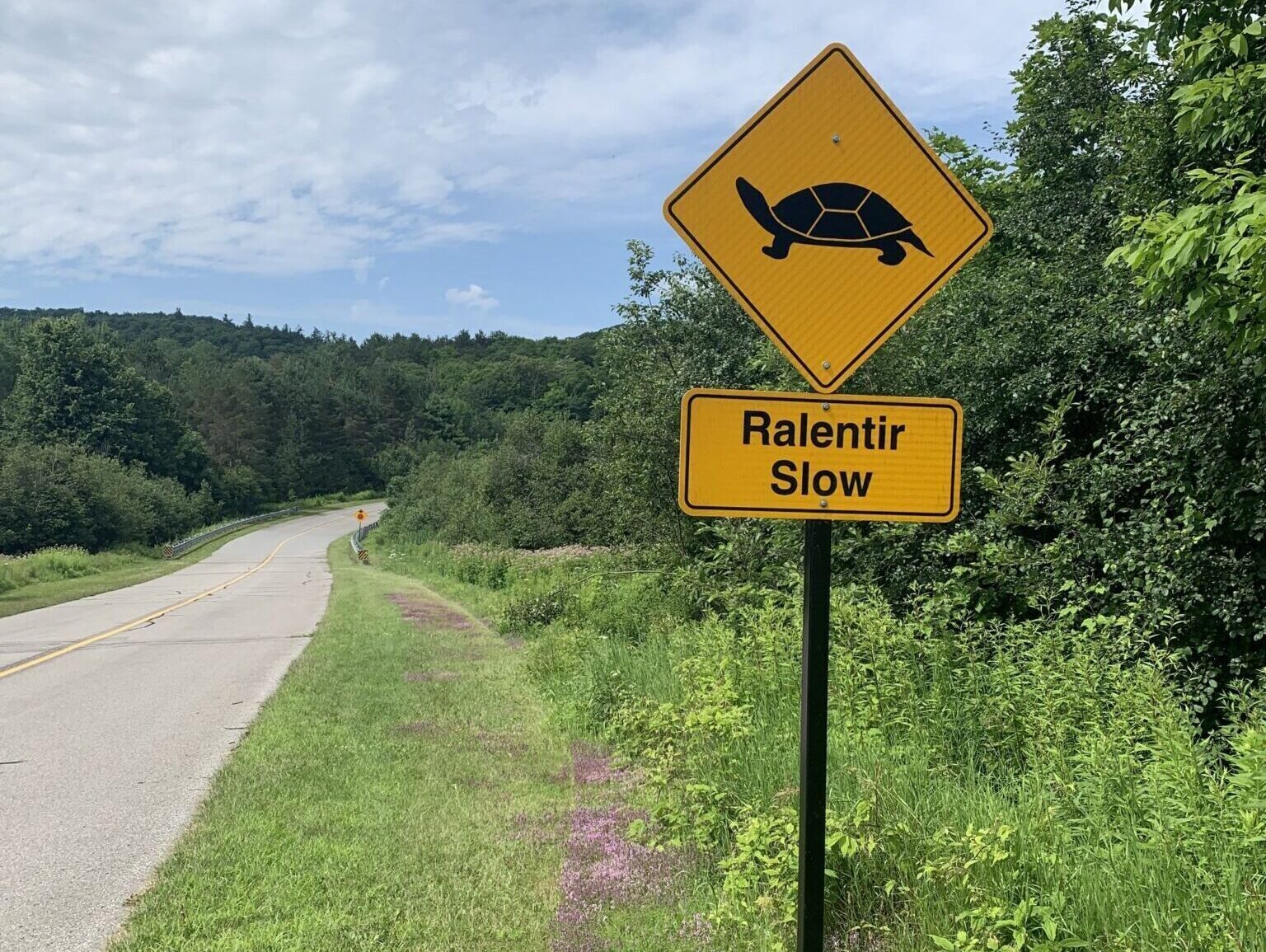 Slow down road sign with a turtle pictogram, on a deserted road in Gatineau Park.
