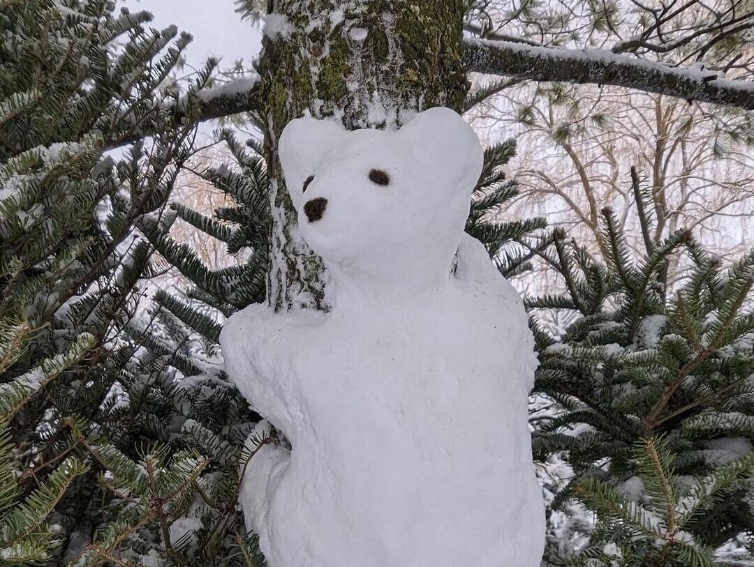 A snow bear, made by