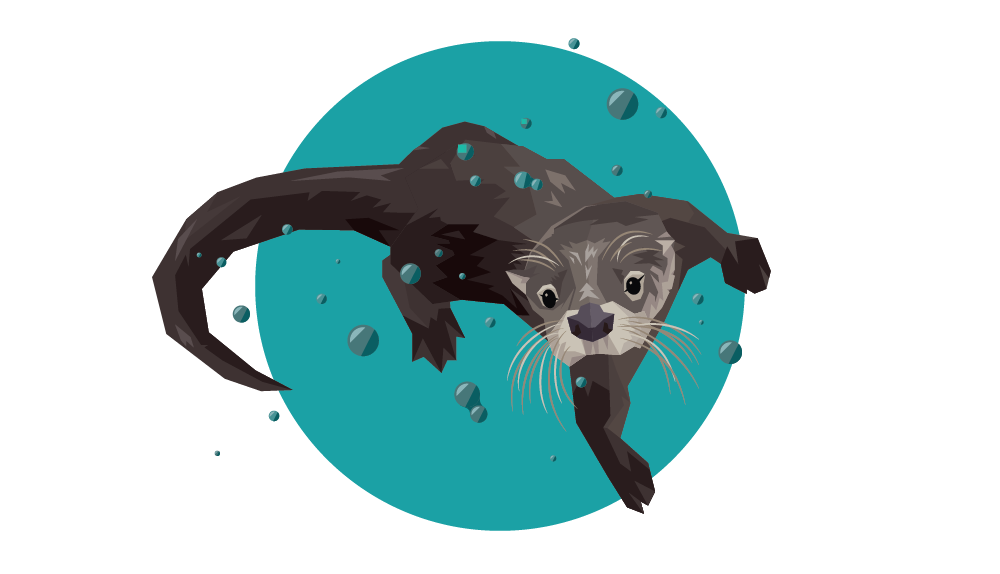 Loutre de rivière