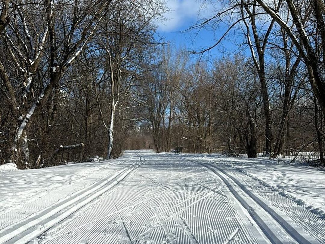 Rideau Winter Trail