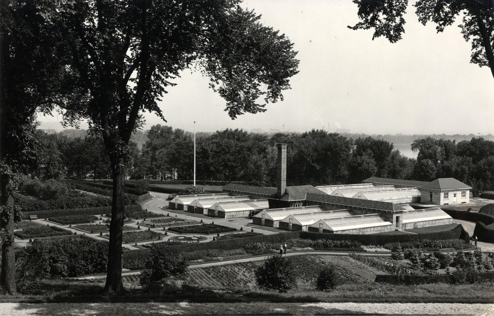 Serres et pépinières du chemin Springfield, Rockcliffe. Août 1939. Crédit : Commission de la capitale nationale, collection Gréber Greenhouses and nurseries at Springfield Road, Rockcliffe, August 1939. Credit: National Capital Commission Gréber Collection