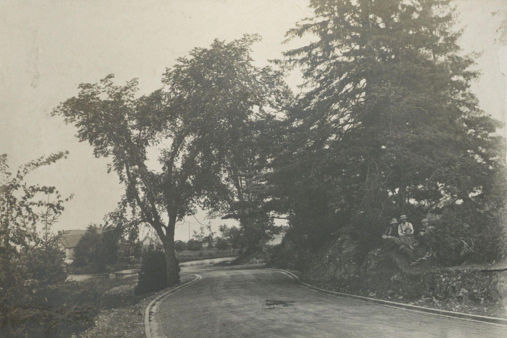 View of the Rideau Canal Driveway, winding through trees, west of Bank Street. 1902. Credit: Library and Archives Canada / E999912077 View of the Rideau Canal Driveway, winding through trees, west of Bank Street. 1902. Credit: Library and Archives Canada / E999912077